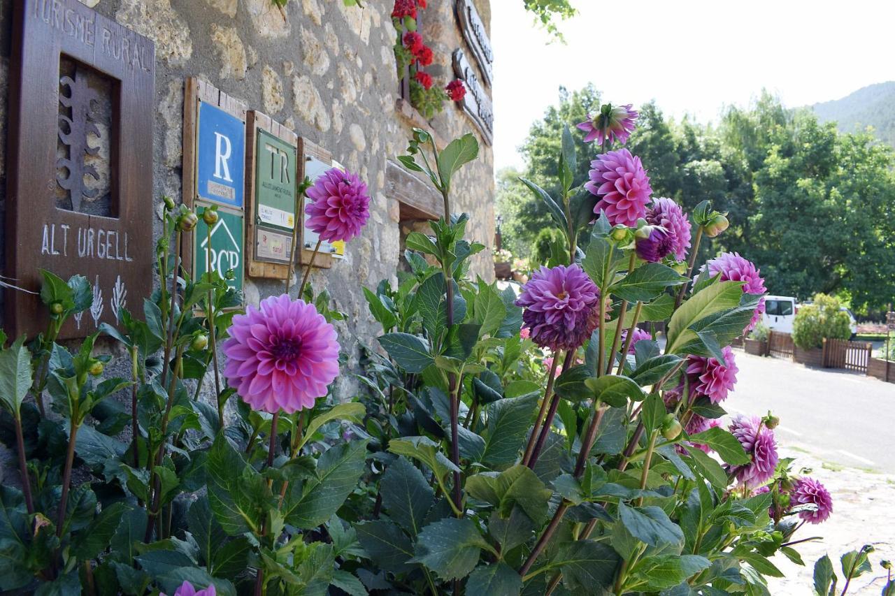 Отель Casa Rural Moli De Fornols Экстерьер фото