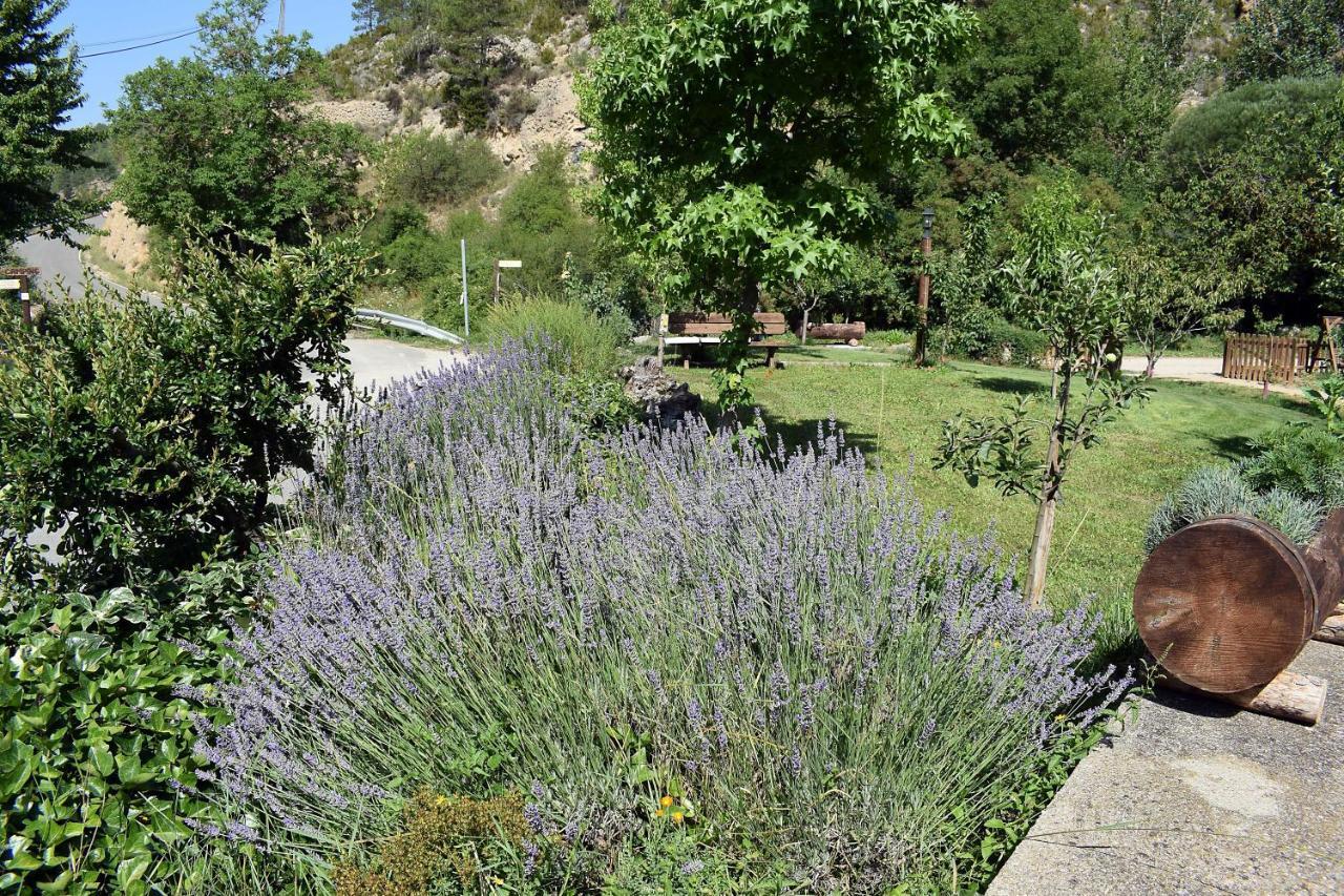 Отель Casa Rural Moli De Fornols Экстерьер фото